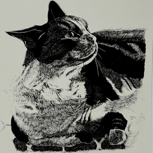 Bobbie Cericola Other - Limited Edition Bobbie Cericola Cat Pen Art Print 25/300 Black White Signed 9x12